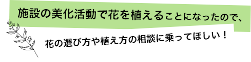 施設の美化活動で花を植えることになったので、花の選び方や植え方の相談に乗ってほしい！