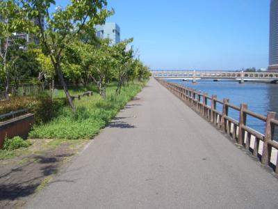 樋井川河畔緑道